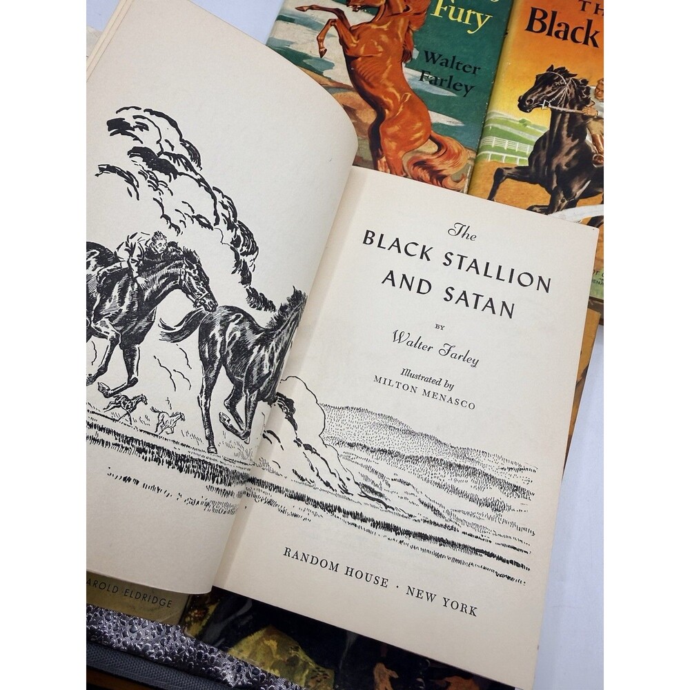 8 : 40s 50s Walter Farley The Black Stallion Novel Book Set Sulky Filly Satan + - Picture 12 of 16